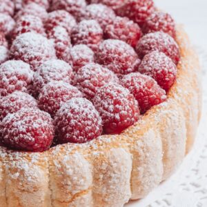 Charlotte de red berries